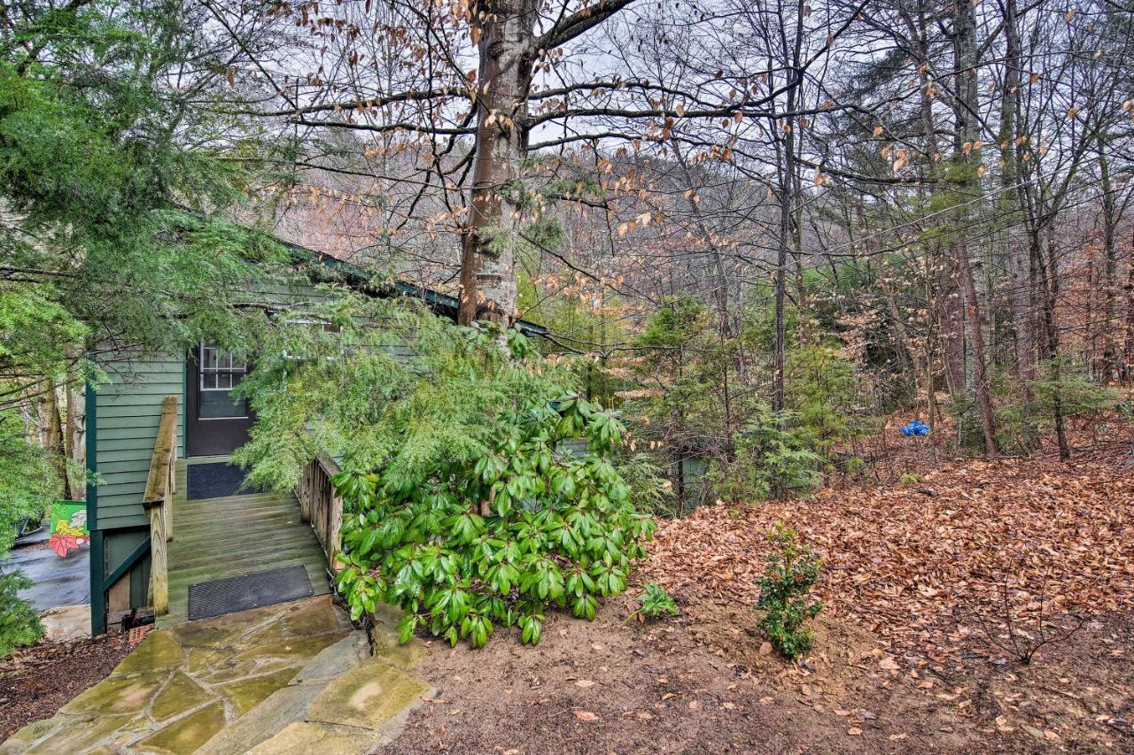 Appalachian Mountain Retreat 6 Mi To Asheville! מראה חיצוני תמונה